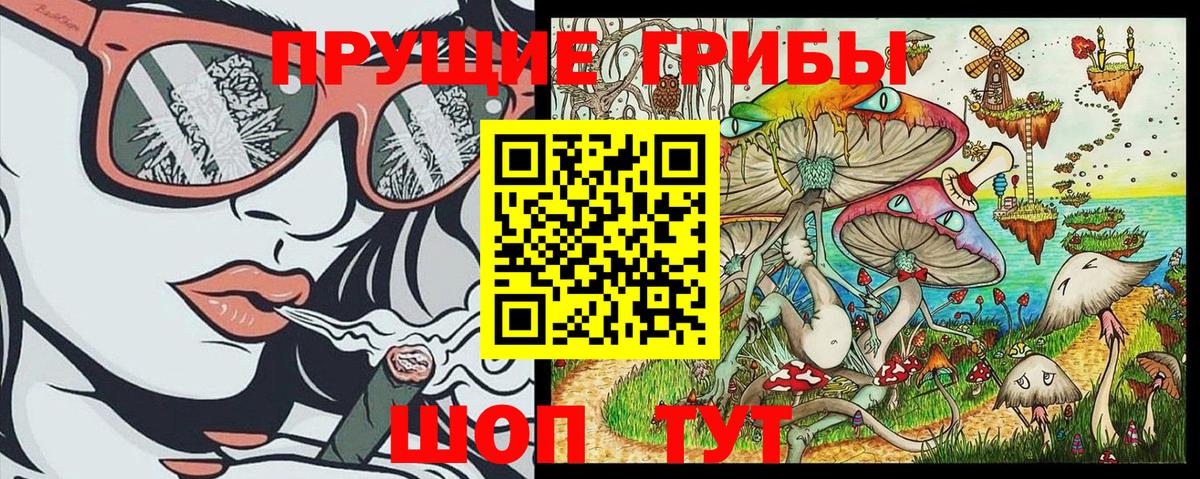 Псилоцибиновые грибы GOLDEN TEACHER Ростов Великий
