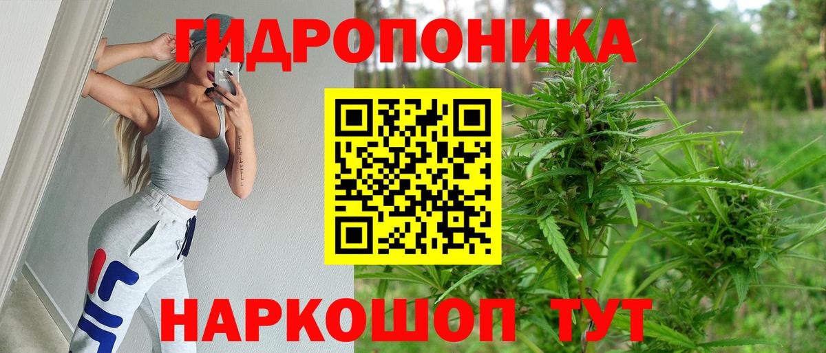 Ростов Великий  Конопля Amnesia  Шишки марихуана тримм  Каннабис сатива  Вход с VPN 